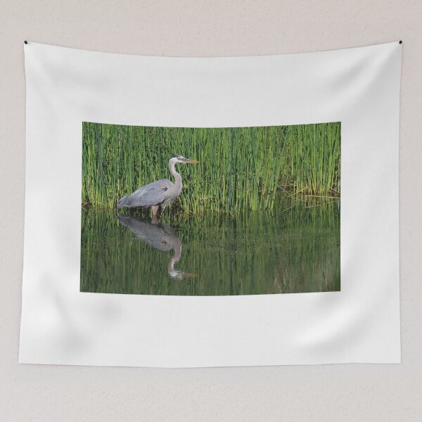 Item preview, Great Blue Heron designed and sold by PhotosByHung.