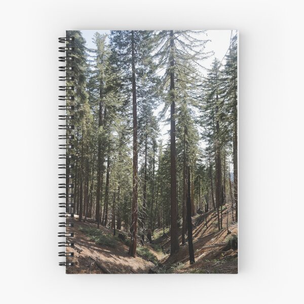 Item preview, Mariposa Grove designed and sold by McGaggs.
