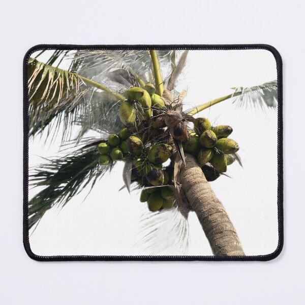 Item preview, Palm tree designed and sold by Lauracolleen3.