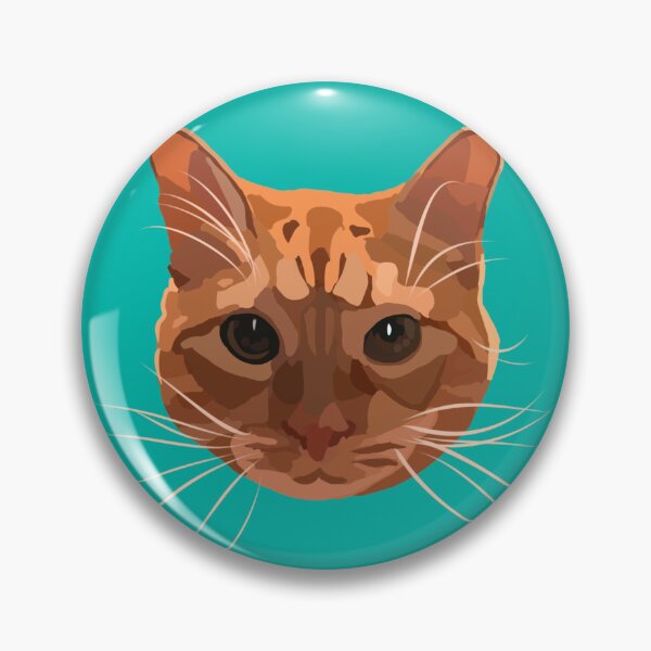 Orange Cat Pin
