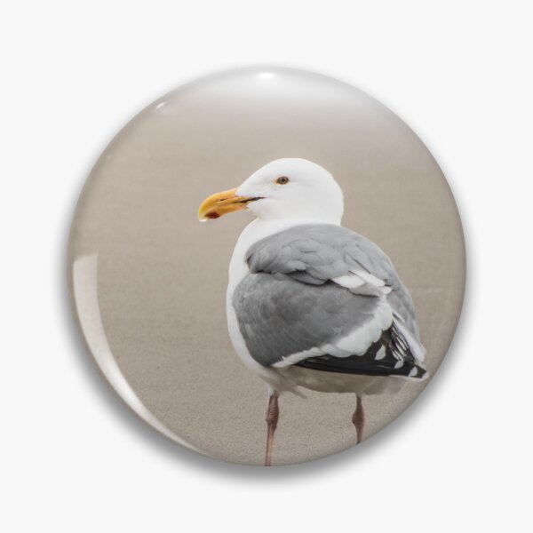 Artikelvorschau, Sei eine tolle Möwe am Strand entworfen und verkauft von nancyjcreates.
