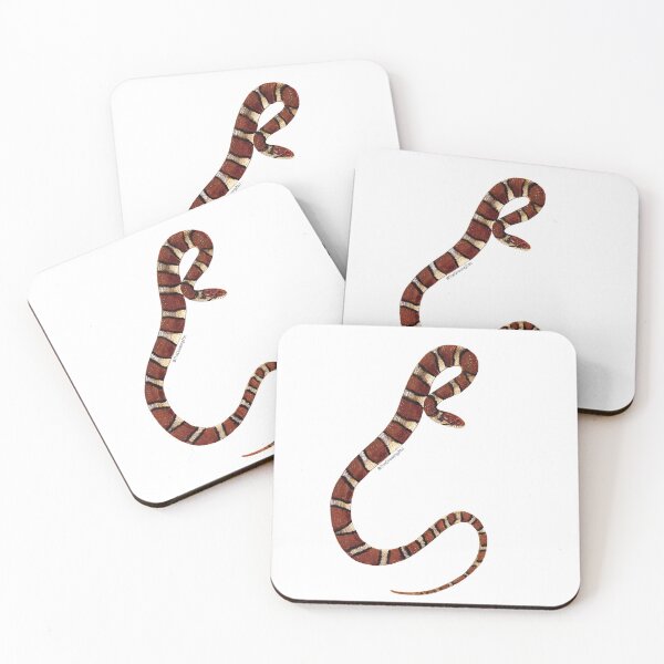 Item preview, Milk Snake designed and sold by TheDrawingZoo.