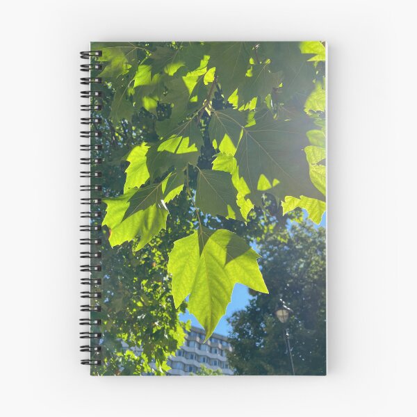 Item preview, Sunlit Leaves designed and sold by elstoleno.
