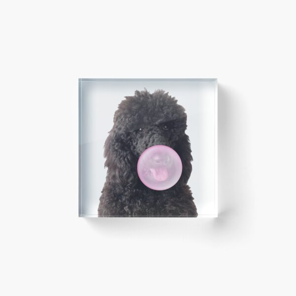 Item preview, Bubblegum poodle  designed and sold by SillyLittleSnek.