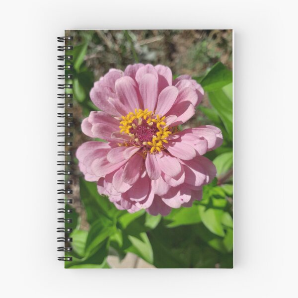 Item preview, Large Daisy designed and sold by Roots & Wings Boutique.