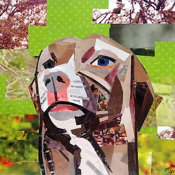 Artwork thumbnail, The Distracted Pit Bull by megancoyle