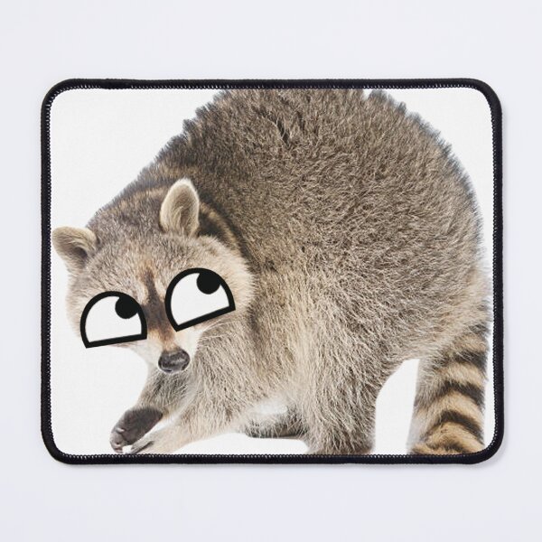 Item preview, Derpy racoon  designed and sold by SillyLittleSnek.