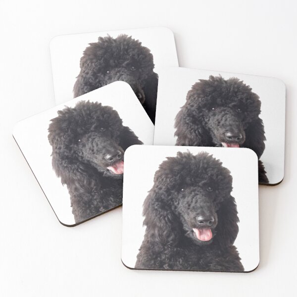 Item preview, black poodle designed and sold by SillyLittleSnek.