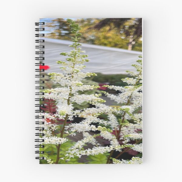 Item preview, Japanese Astilbe designed and sold by cascadecuts.