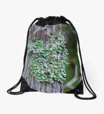 Likin' the Lichen Drawstring Bag