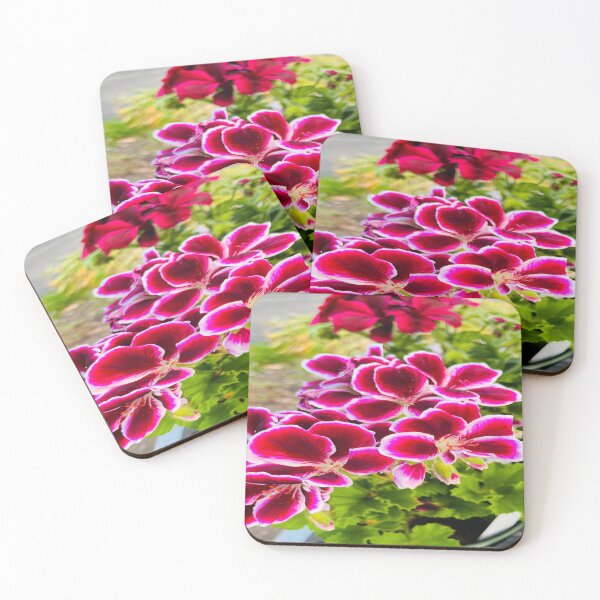 Item preview, Large Flower Pelargonium designed and sold by cascadecuts.