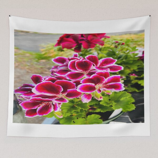 Item preview, Large Flower Pelargonium designed and sold by cascadecuts.
