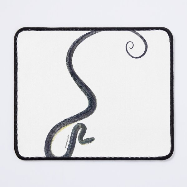 Item preview, Eastern Rat Snake designed and sold by TheDrawingZoo.