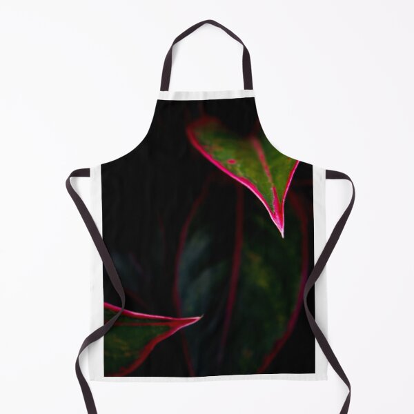 Item preview, Aglaonema 'Siam Aurora' designed and sold by Satakorn.