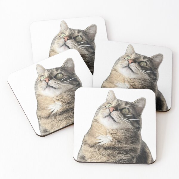 Item preview, Alarmed Tabby Cat designed and sold by mainstreammarin.