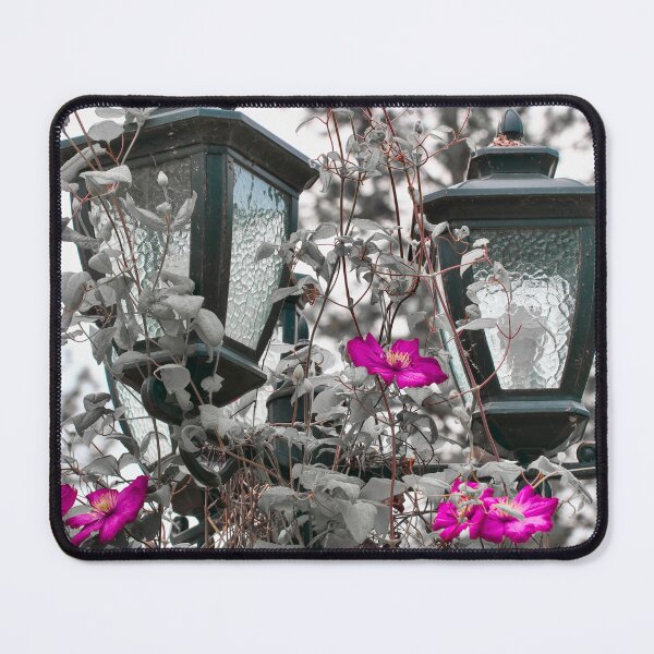 Item preview, Color isolation of light post and flowers  designed and sold by Cblifeisgood.