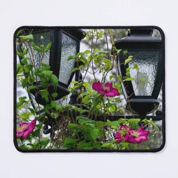 Item preview, Clematis and light posts designed and sold by Cblifeisgood.