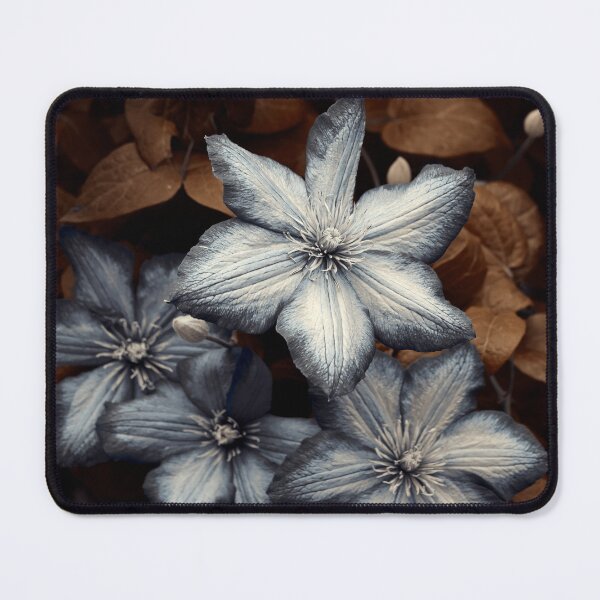 Item preview, Clematis art photo designed and sold by Cblifeisgood.