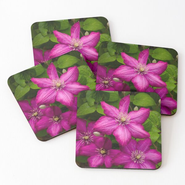 Item preview, Clematis Flowers designed and sold by Cblifeisgood.