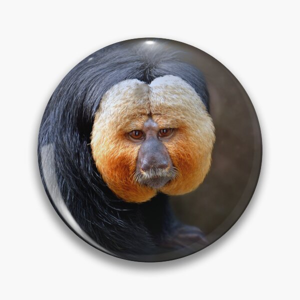 Item preview, Saki Monkey designed and sold by Savannah Gibbs.
