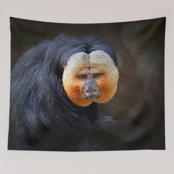 Item preview, Saki Monkey designed and sold by Savannah Gibbs.