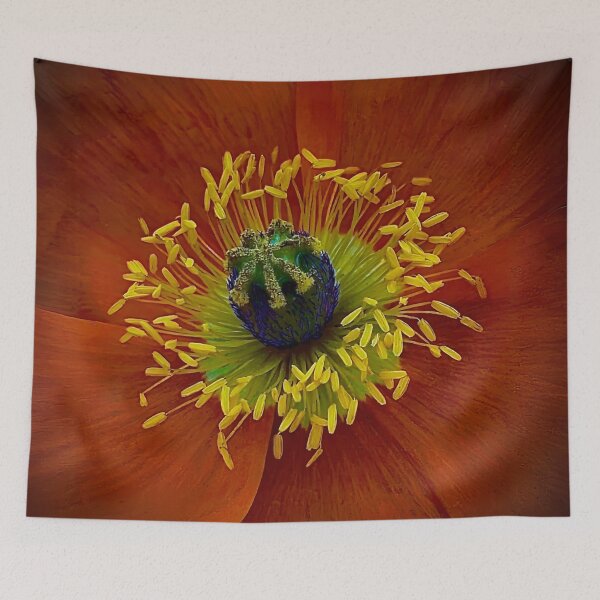 Item preview, Earth Dish designed and sold by Steve Walser.