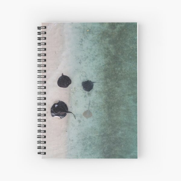 Item preview, Stingrays on the beach  designed and sold by Akenaani.