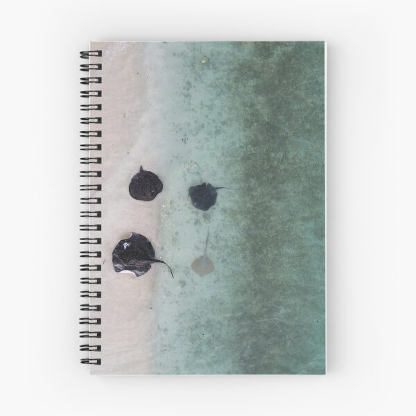 Item preview, Stingrays on the beach  designed and sold by Akenaani.