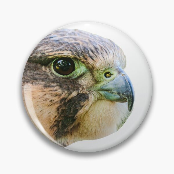 Item preview, Lanner Falcon portrait designed and sold by Dalyndigital Photography.