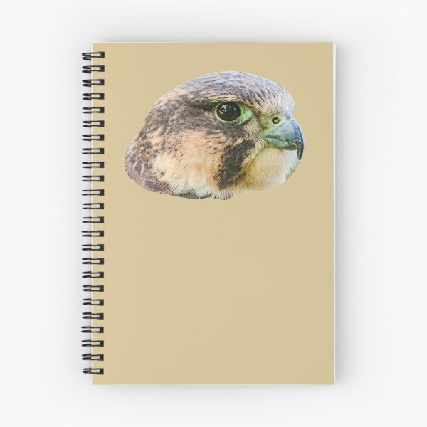 Item preview, Lanner Falcon portrait designed and sold by Dalyndigital Photography.