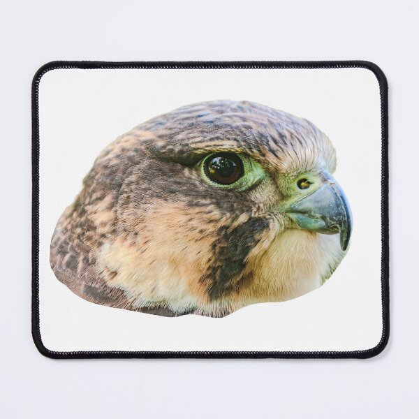 Item preview, Lanner Falcon portrait designed and sold by Dalyndigital Photography.