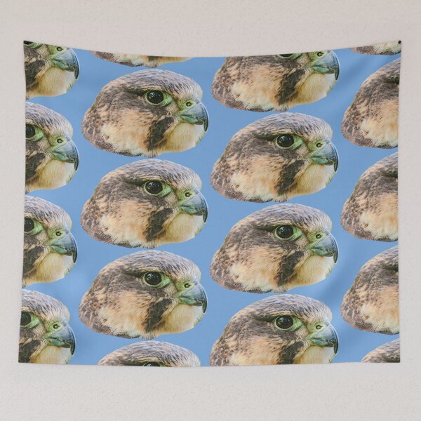 Item preview, Lanner Falcon portrait designed and sold by Dalyndigital Photography.