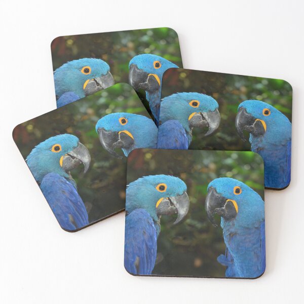 Item preview, Hyacinth Macaws  designed and sold by Savannah Gibbs.