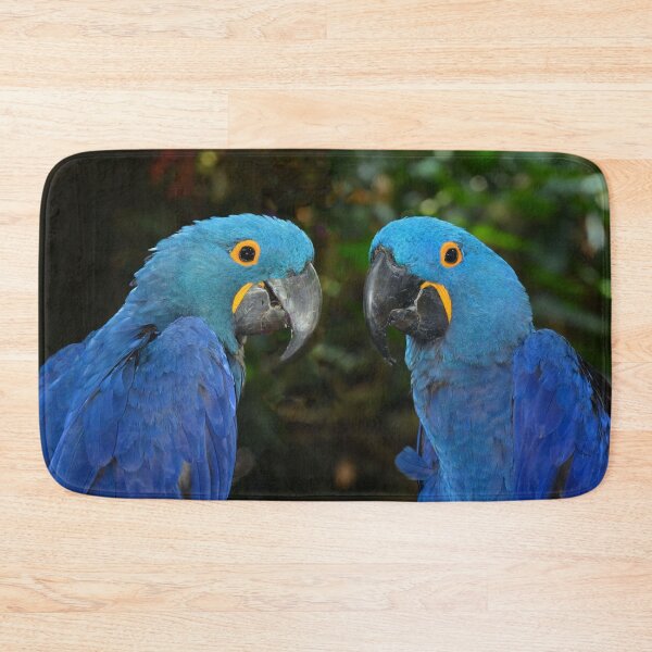 Item preview, Hyacinth Macaws  designed and sold by Savannah Gibbs.