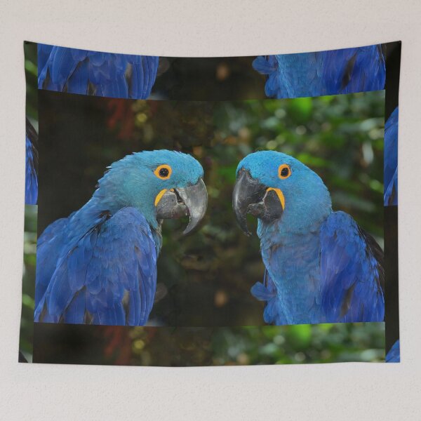 Item preview, Hyacinth Macaws  designed and sold by Savannah Gibbs.