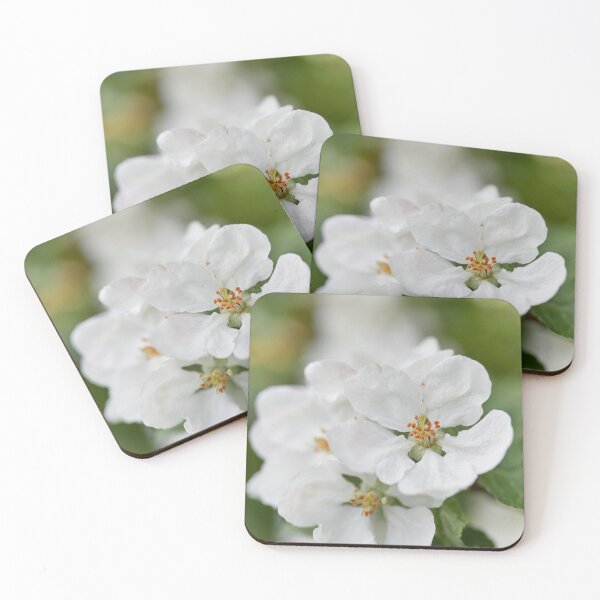 Item preview, The Beauty. Apple White Transparent 1  2024 designed and sold by Jouko Lehto Photography.