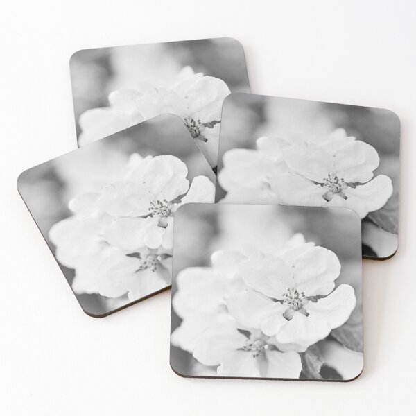 Item preview, The Beauty. Apple White Transparent 2  2024 bw designed and sold by Jouko Lehto Photography.