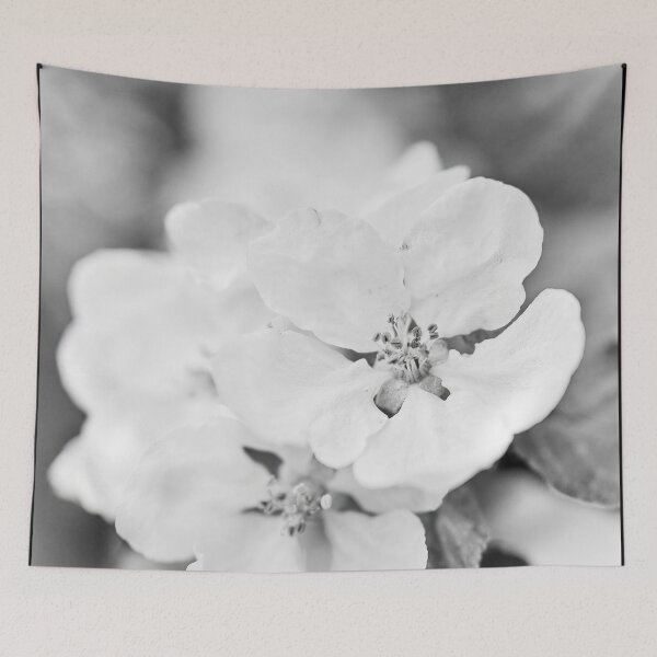 Item preview, The Beauty. Apple White Transparent 2  2024 bw designed and sold by Jouko Lehto Photography.