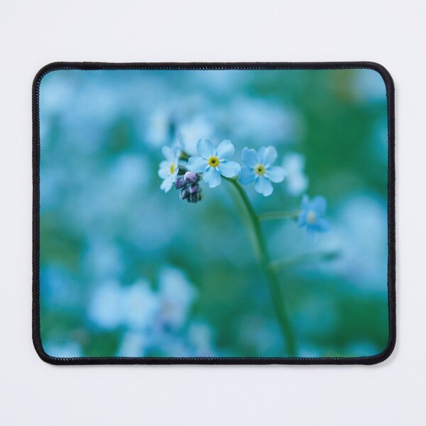 Item preview, Baby Blue Carpet.  Wood forget-me-not designed and sold by Jouko Lehto Photography.