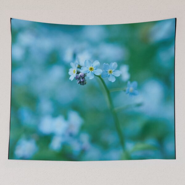 Item preview, Baby Blue Carpet.  Wood forget-me-not designed and sold by Jouko Lehto Photography.