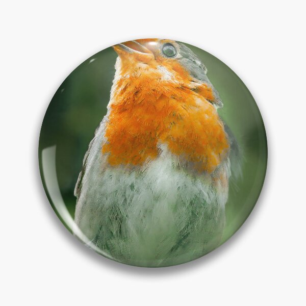 Item preview, Robin Singing designed and sold by SWEEPER.