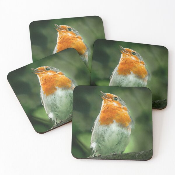 Item preview, Robin Singing designed and sold by SWEEPER.
