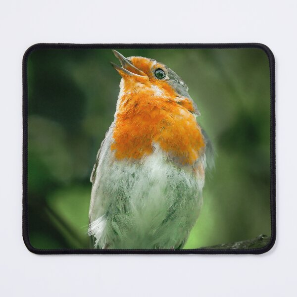 Item preview, Robin Singing designed and sold by SWEEPER.