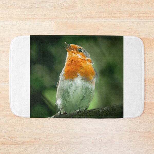 Item preview, Robin Singing designed and sold by SWEEPER.