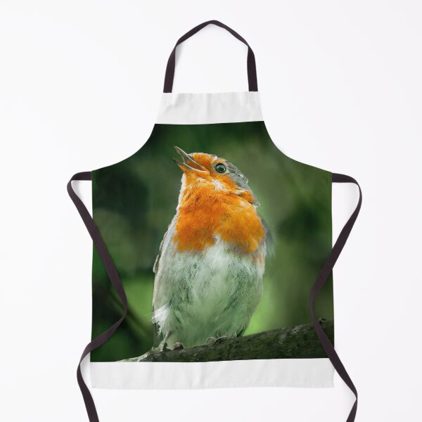 Item preview, Robin Singing designed and sold by SWEEPER.