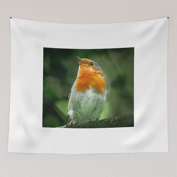 Item preview, Robin Singing designed and sold by SWEEPER.