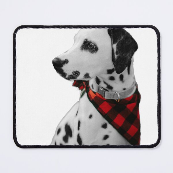Item preview, Dalmatian designed and sold by FilipCZe.