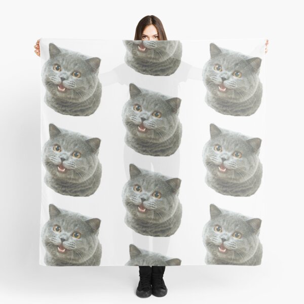 Happy Cat Plain Meme Scarf by joeyboca