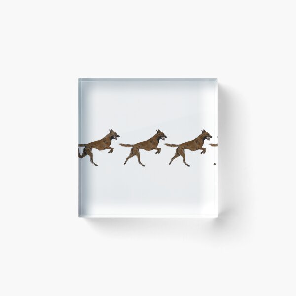 Item preview, Malinois running designed and sold by MyArtistry.