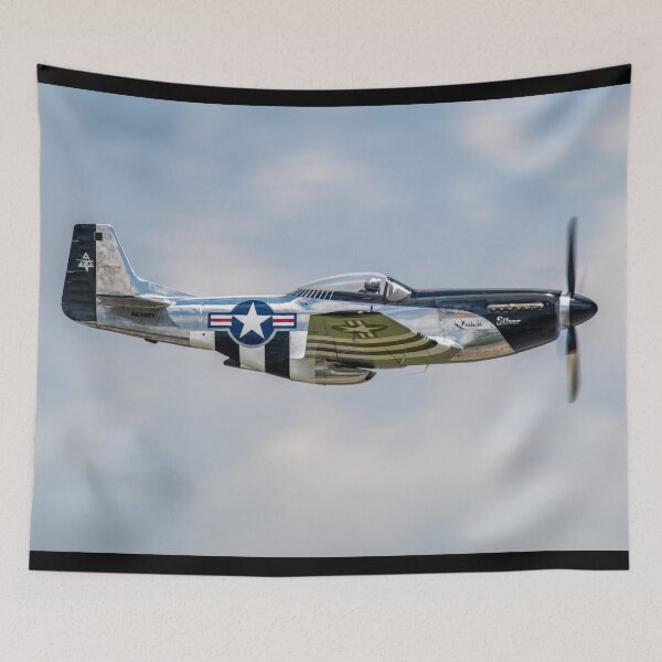 Artikelvorschau, P-51 Mustang „Quick Silver“ entworfen und verkauft von TP-Designs.